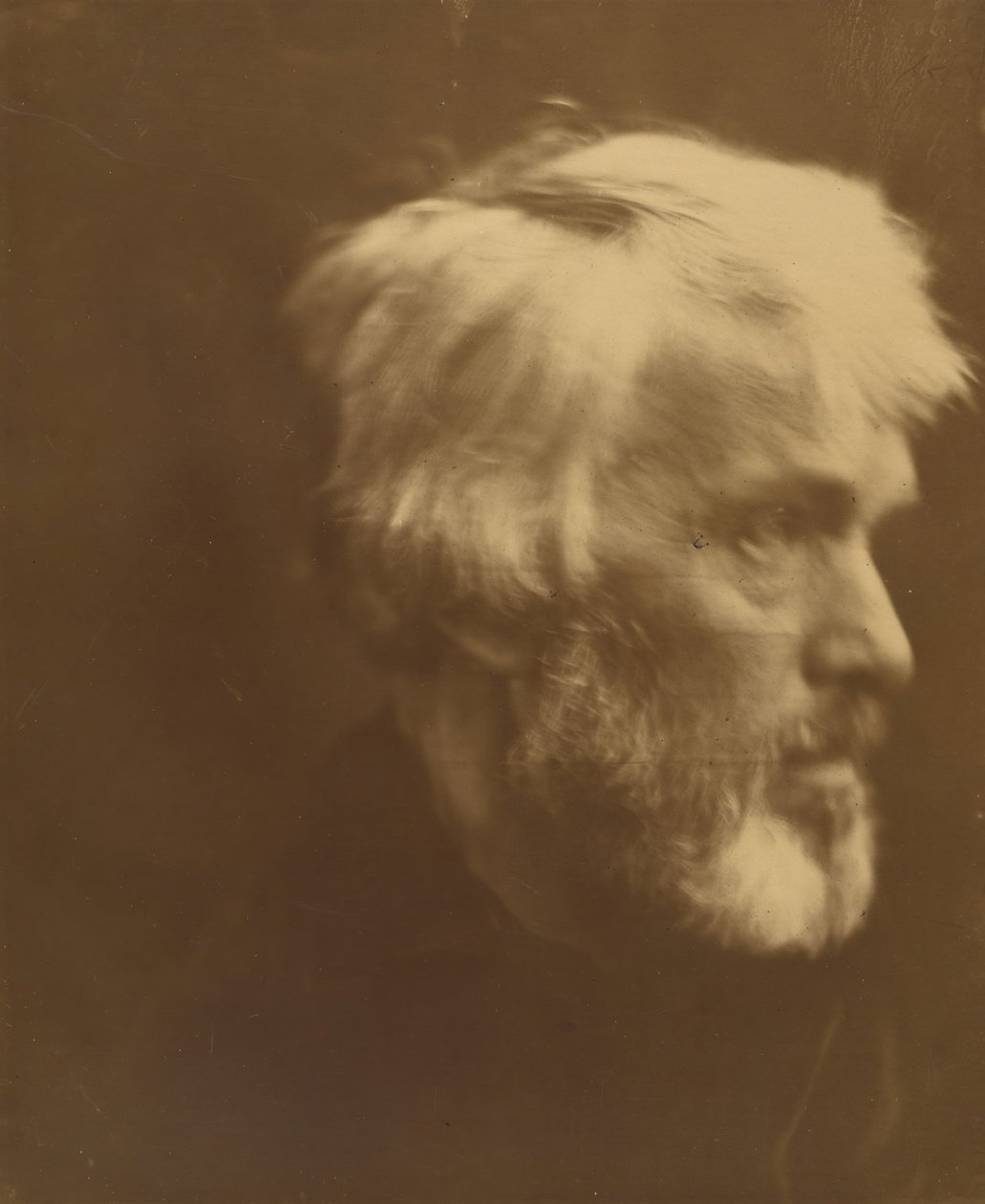 Thomas Carlyle - Julia Margaret Cameron
