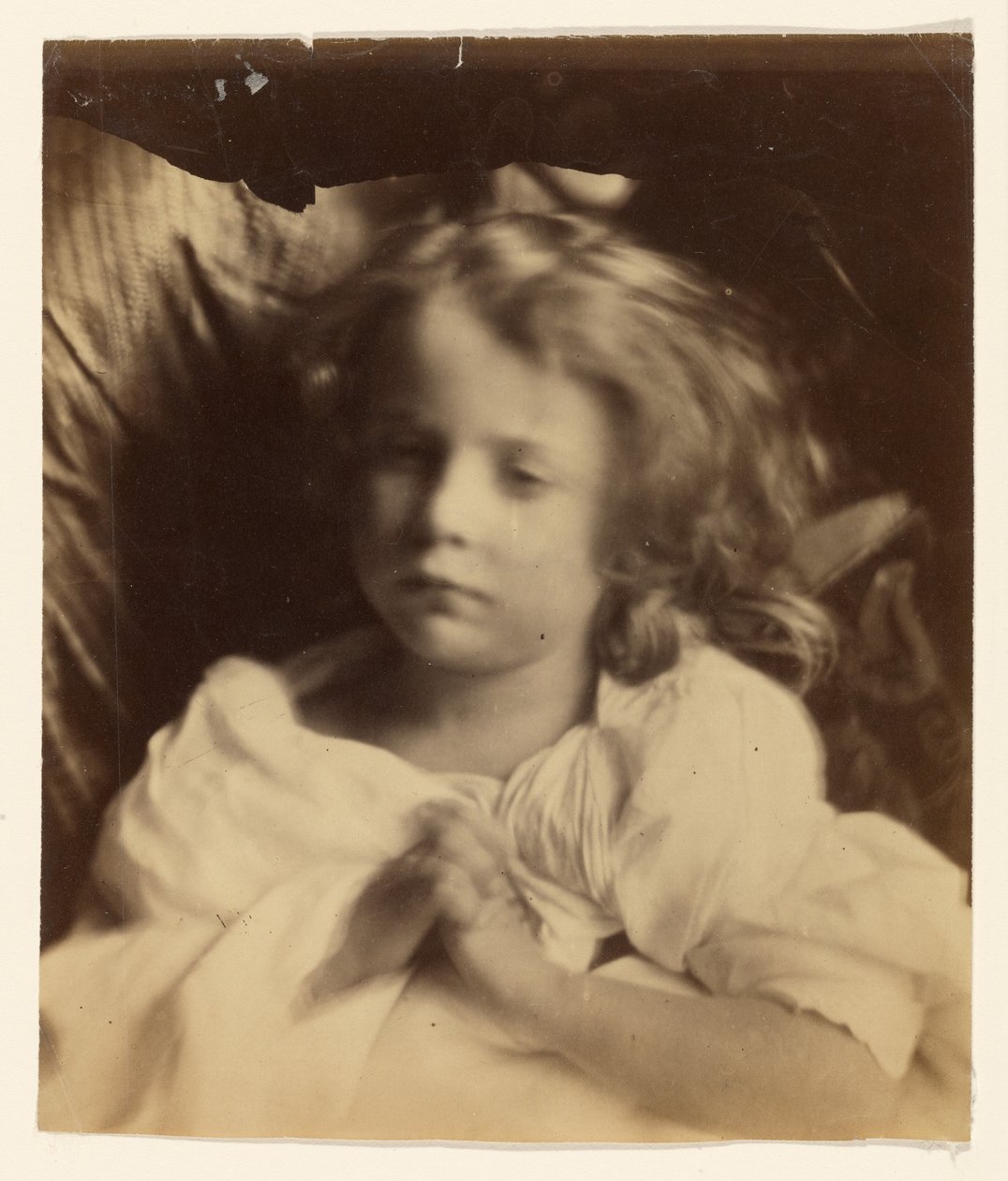[Willin] - Julia Margaret Cameron