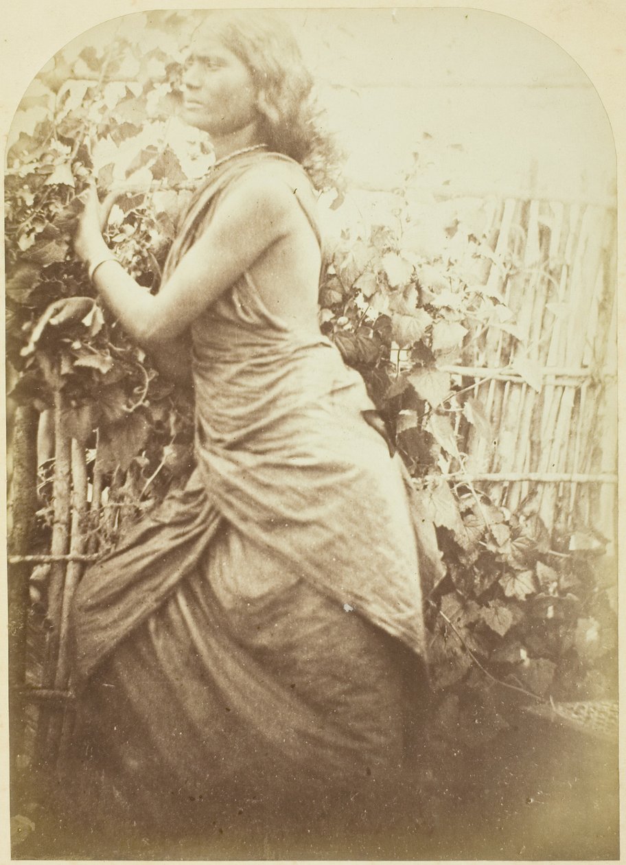 Femme, Ceylan - Julia Margaret Cameron