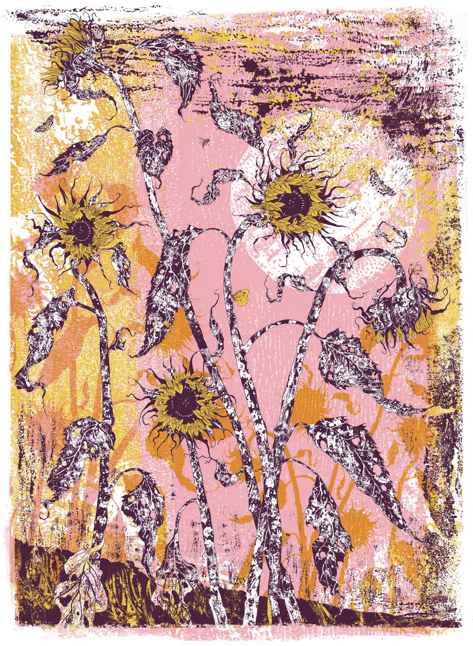 son sine sole iris, 2016 (sérigraphie) - julia McKenzie