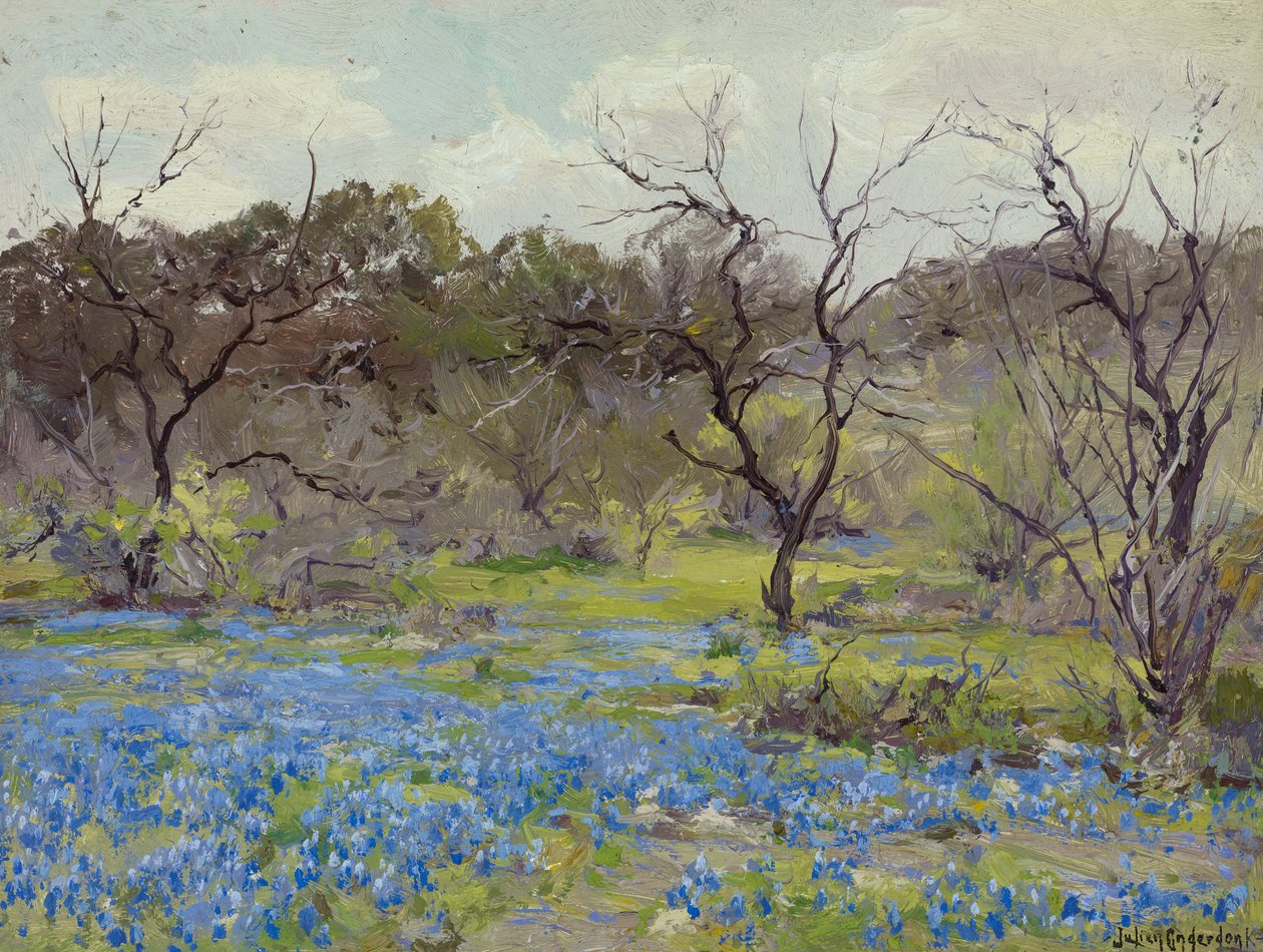 Début du printemps, bluebonnets et mesquites - Julian Onderdonk
