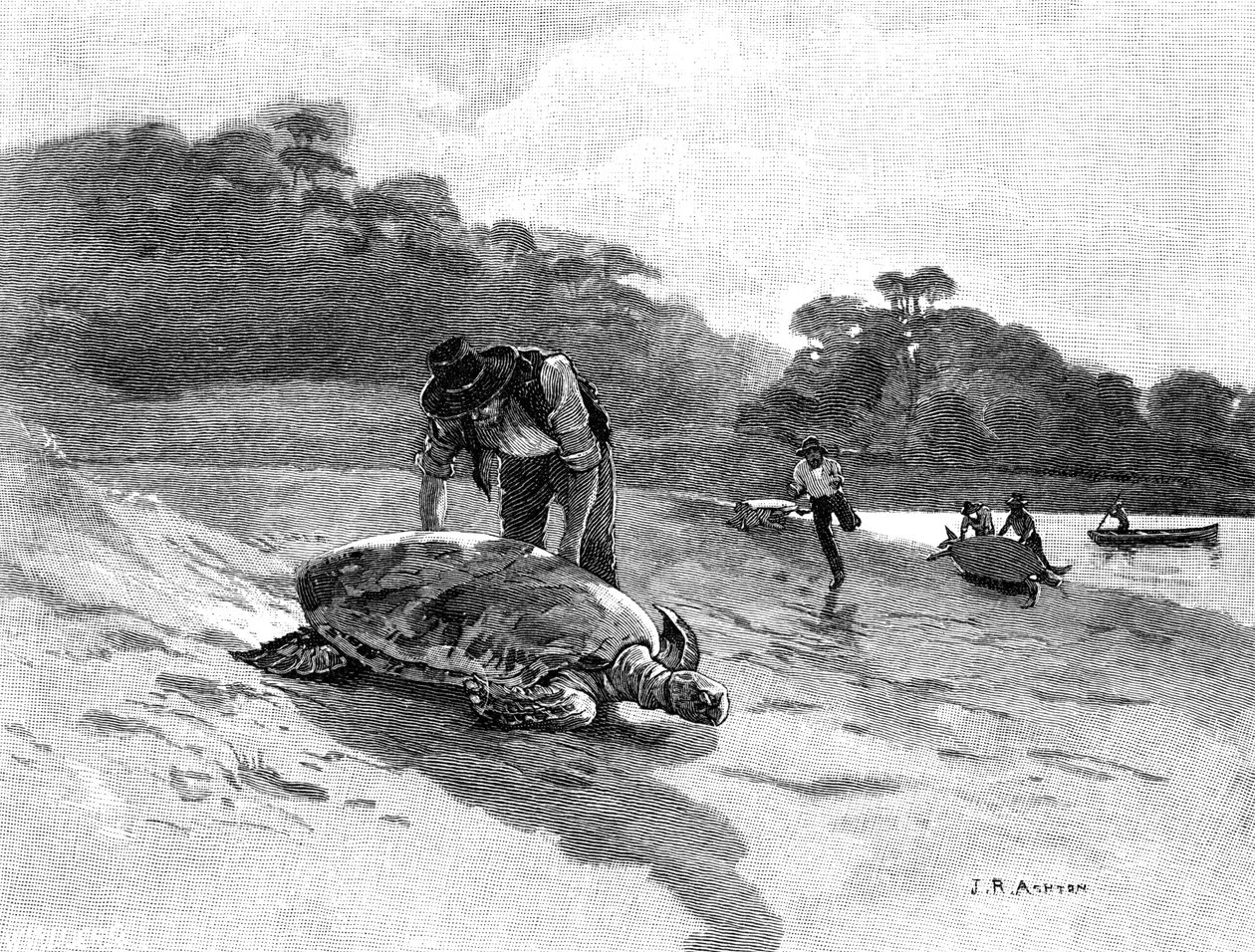 Capture de tortues, 1886 - Julian Ashton