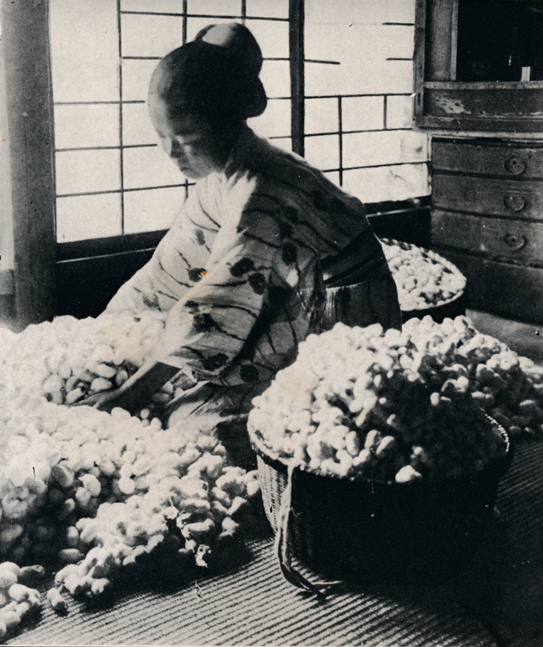 5000 vers à soie mangent 125 livres de mûrier pour 8 écheveaux de soie, fabriquant un kimono, vers 1900, 1921 - Julian Leonard Street
