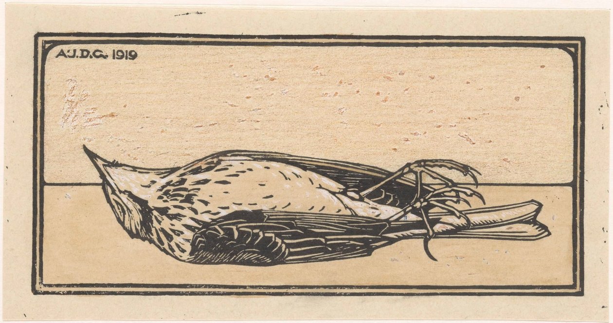 Petit oiseau mort - Julie de Graag
