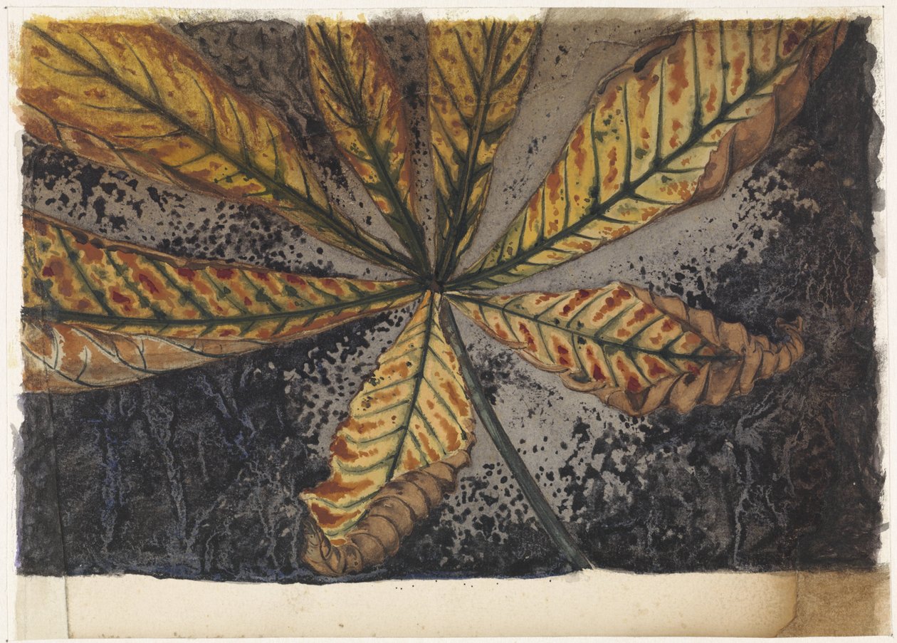 Feuille de châtaignier - Julie de Graag