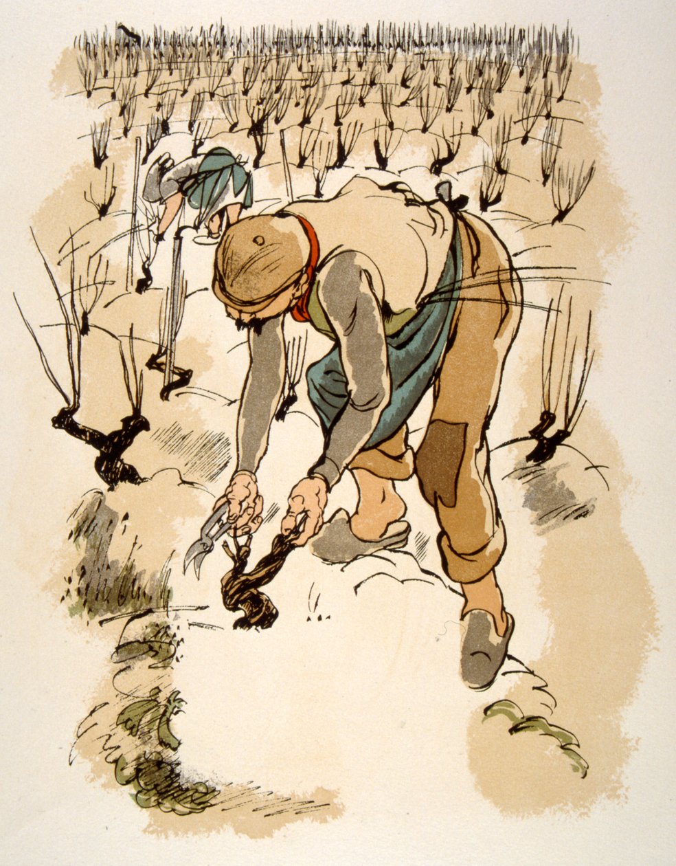 Illustration humoristique de vin 1946. Illustration par Julien Pavil - Julien Pavil