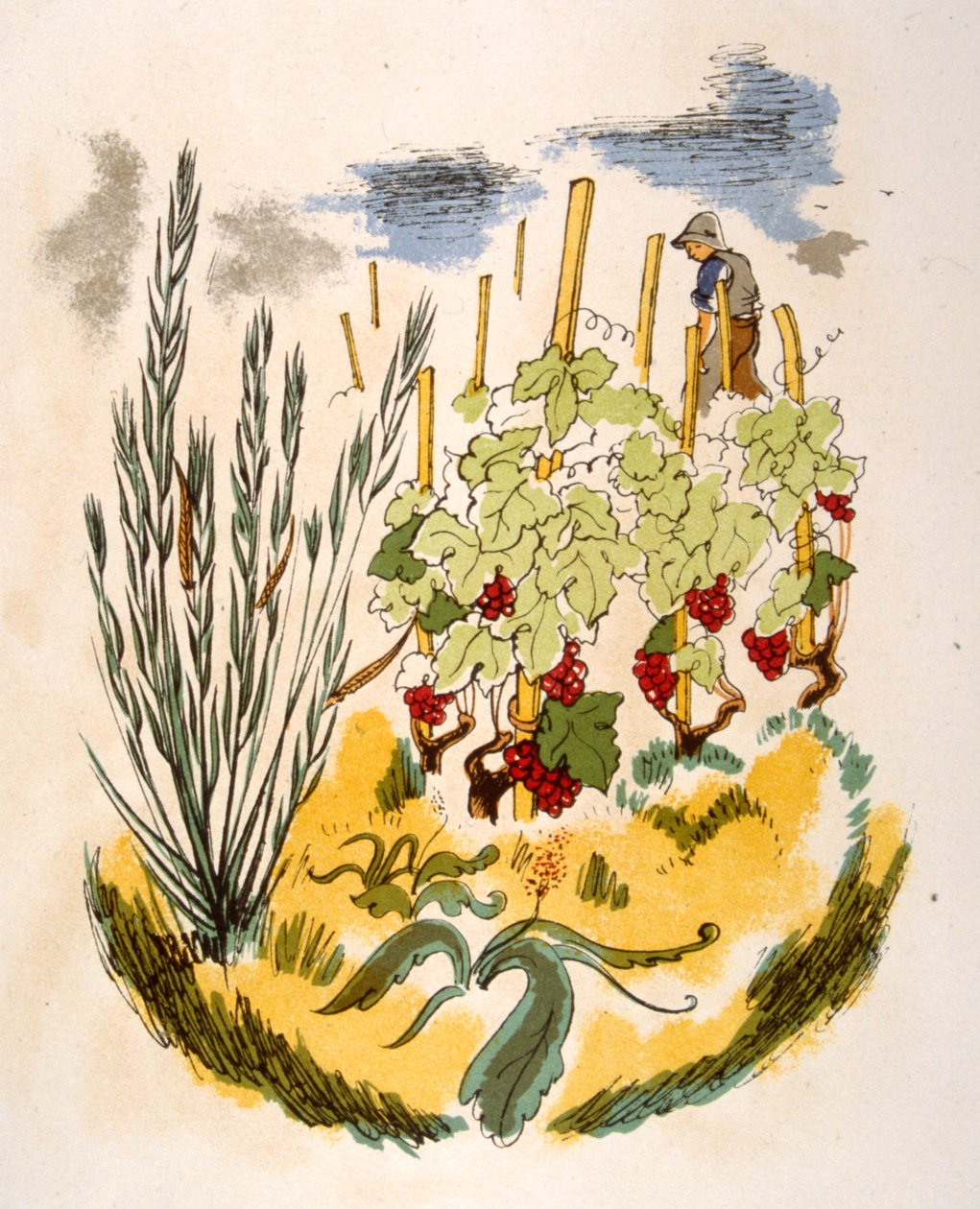 Illustration humoristique de vin 1946. Illustration de Julien Pavil - Julien Pavil