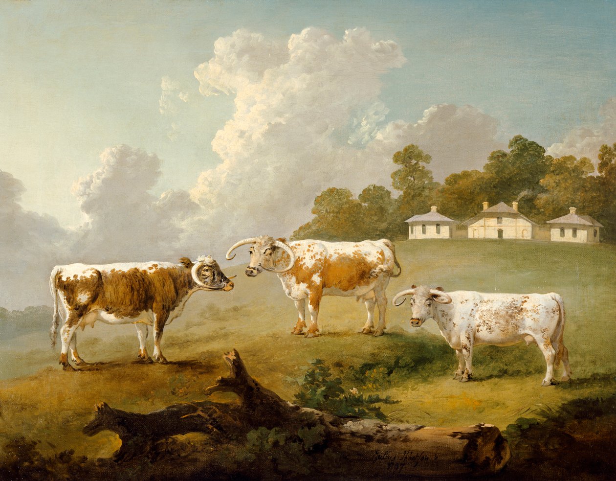Trois bovins à longues cornes à Kenwood, 1797 - Julius Caesar Ibbetson