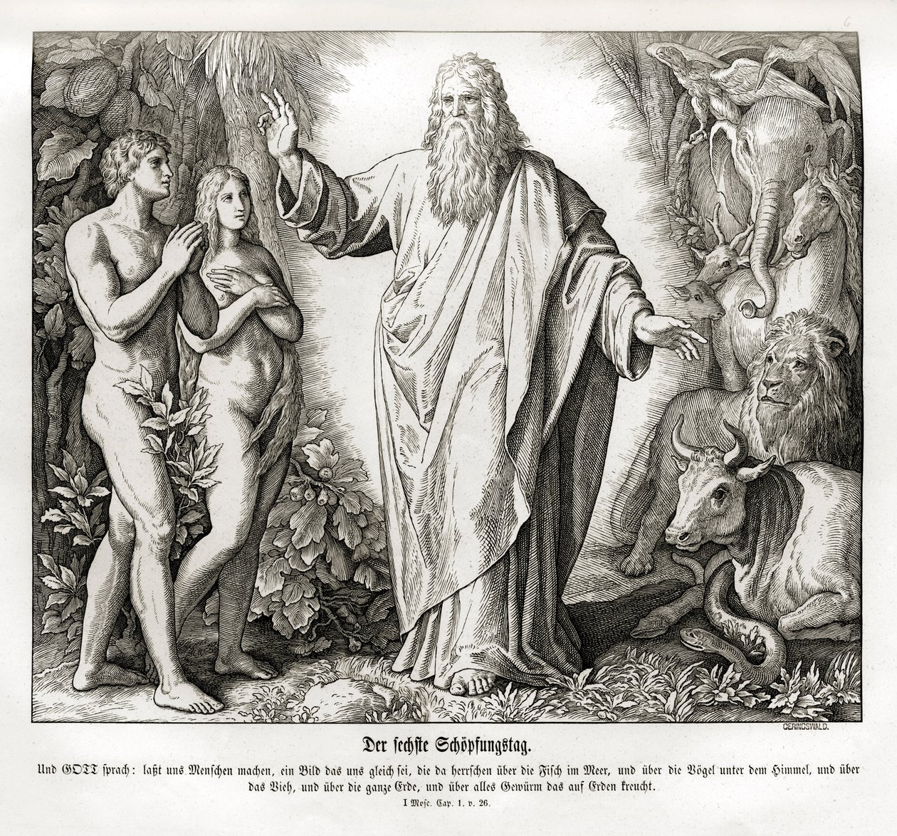 Sixième jour de la création, Genèse - Julius Schnorr von Carolsfeld