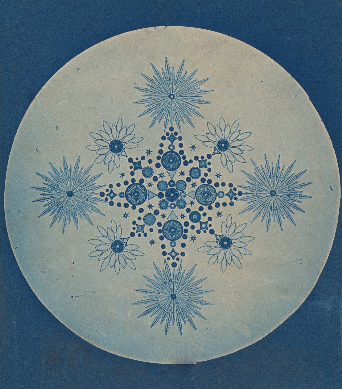 [Frustules de diatomées], vers 1870 - Julius Wiesner.