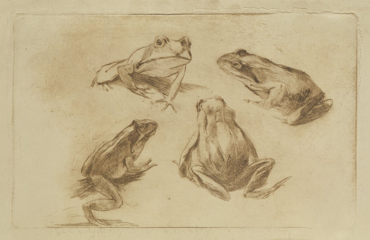 Grenouilles - Julius Wohlers