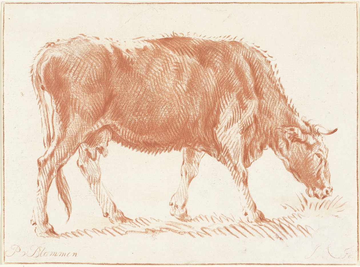 Vache en train de paître - Jurriaan Cootwijck