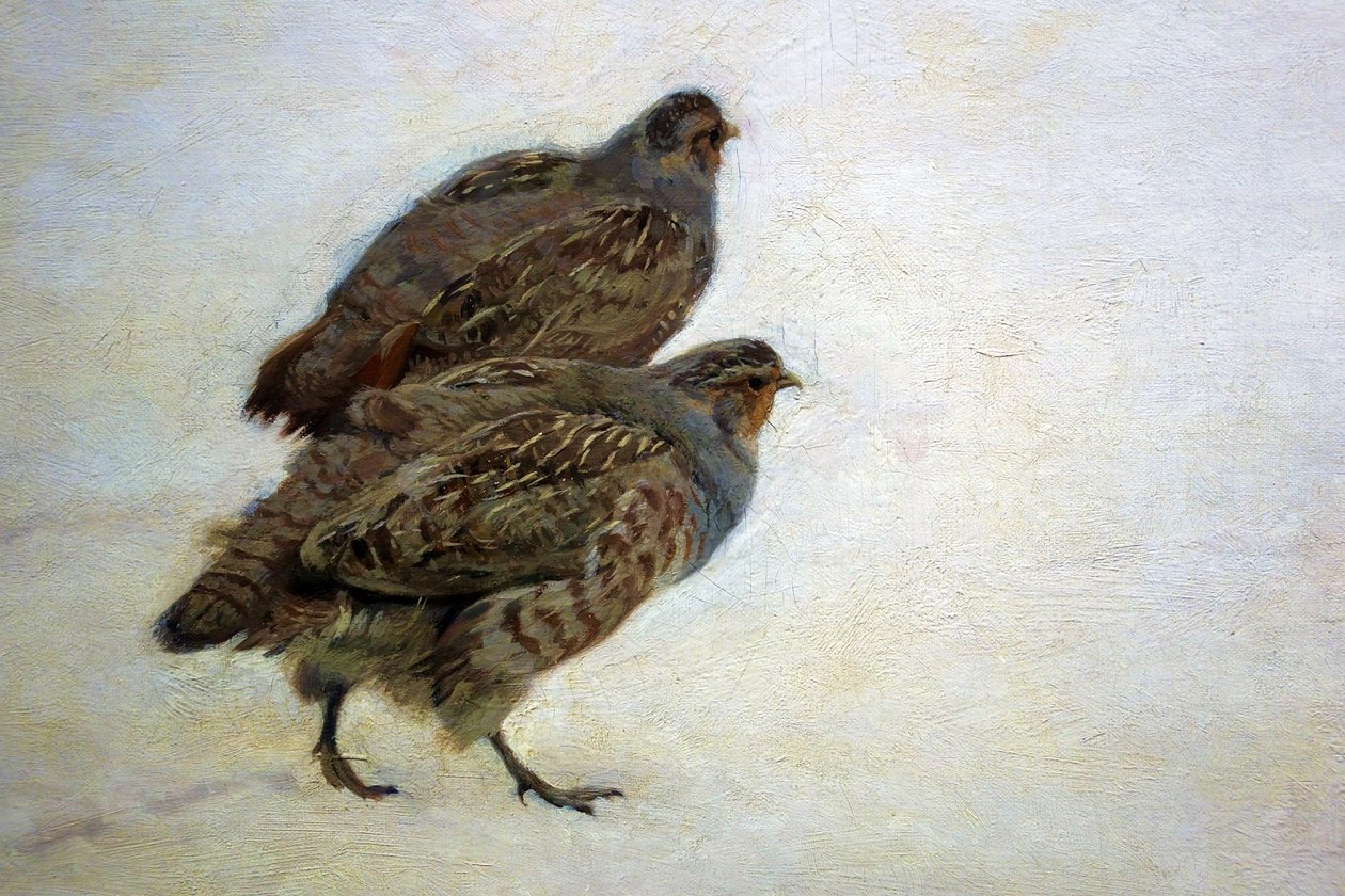 Perdrix - Józef Chełmoński
