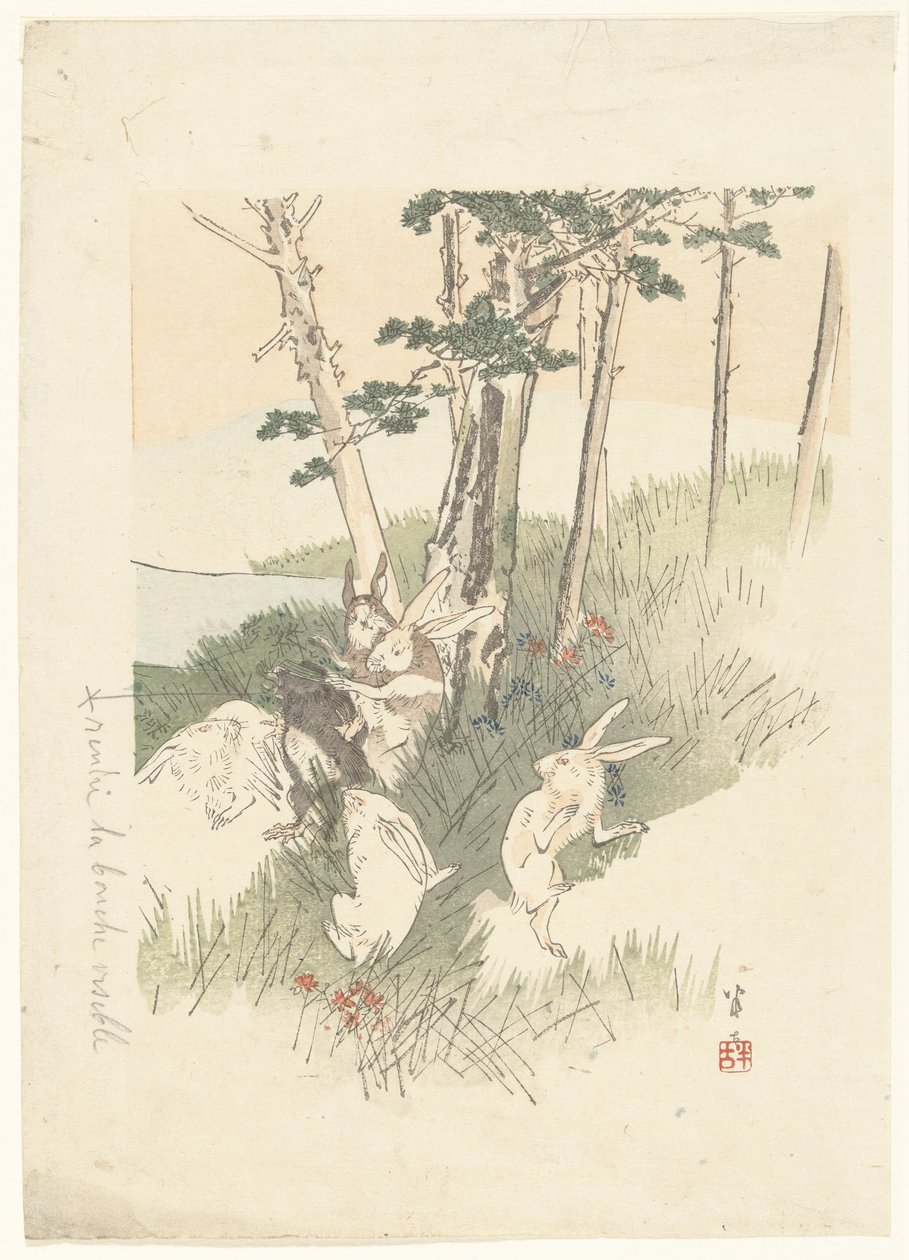 Lapins et une taupe - Kajita Hanko