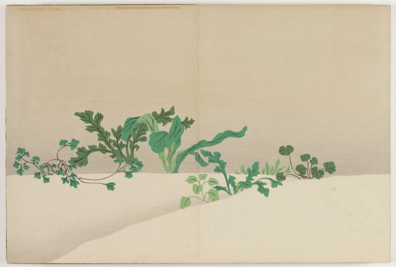 Fleurs de cent mondes : Sept herbes du début du printemps - Kamisaka Sekka