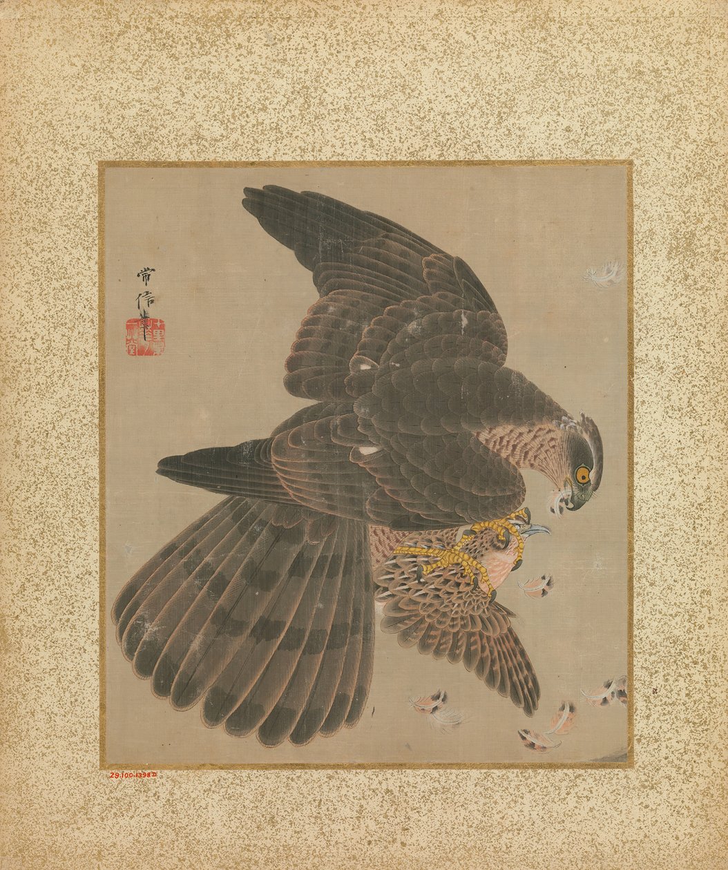 Album de faucons et calligraphie, XVIIe-XVIIIe siècle - Kanô Yôboku Tsunenobu