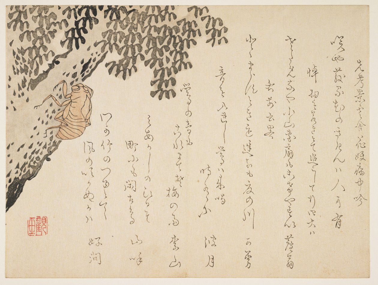 Coquille de cigale, vers 1848-53 - Kangyoku Hgan