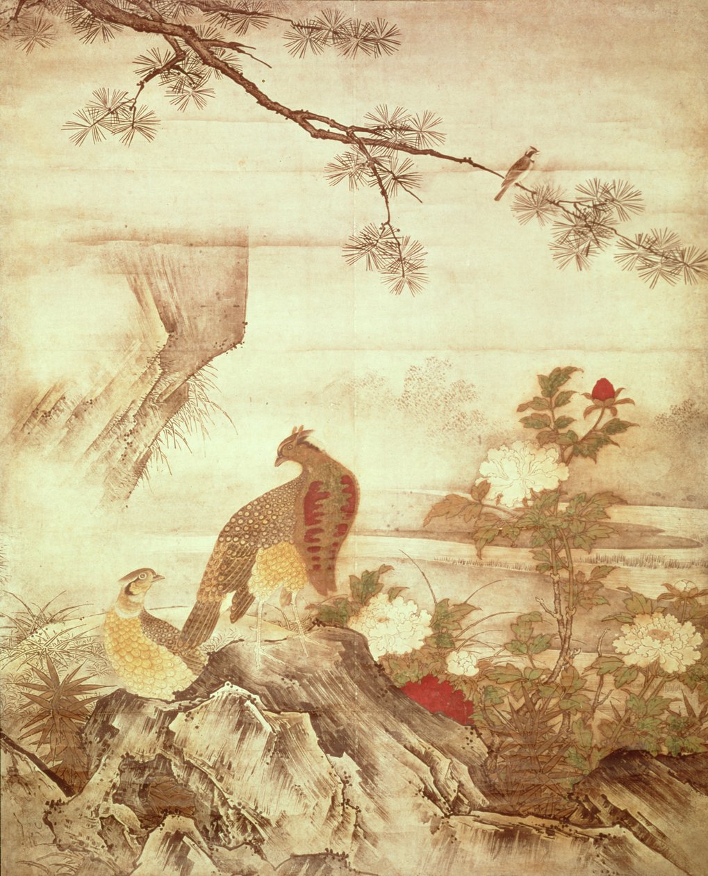 Faisans et pivoines, d