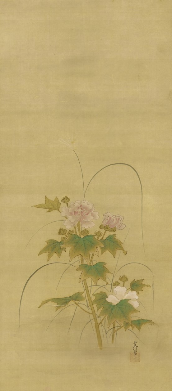 Pivoines, période Edo, milieu du XVIIe-début du XVIIIe siècle - Kano Tsunenobu