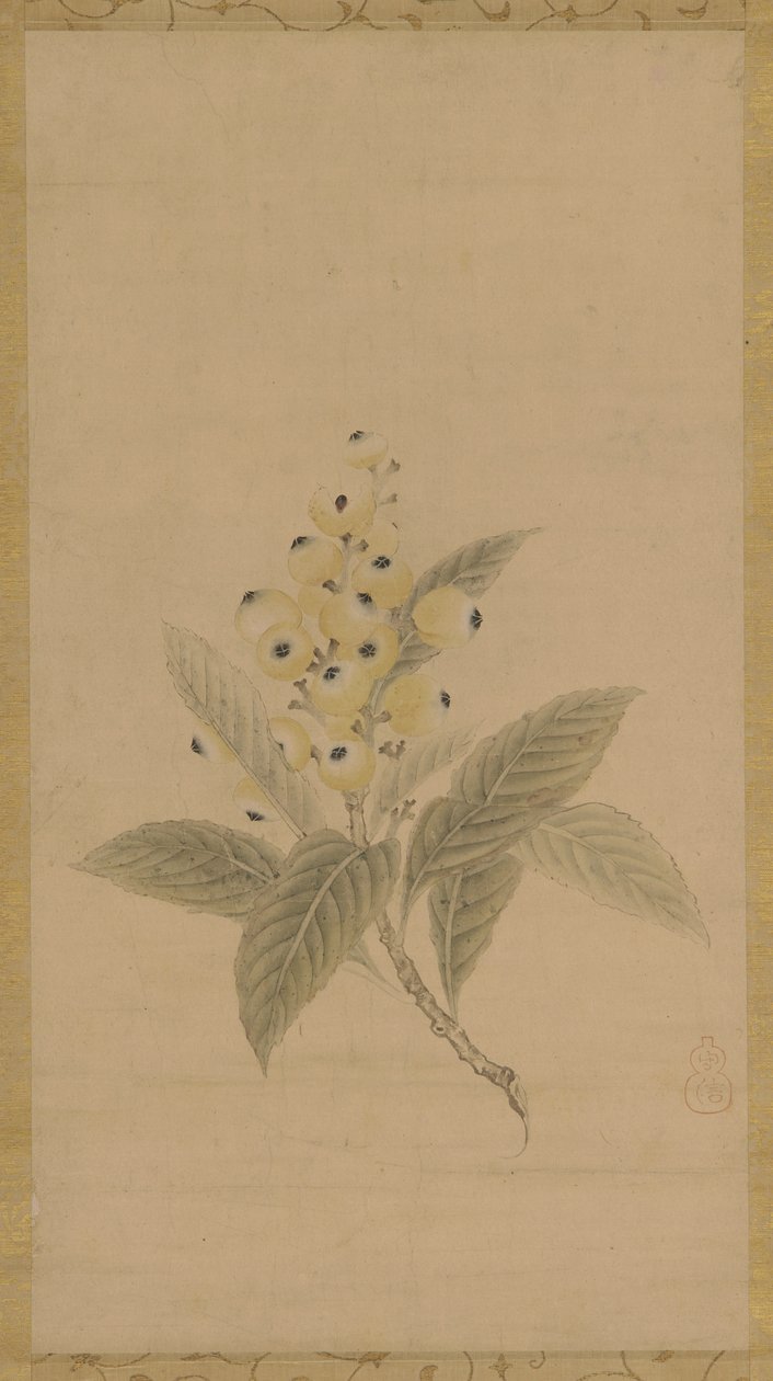 Une branche de nèfles, période Edo, 17e siècle - Kanō Tan’yū