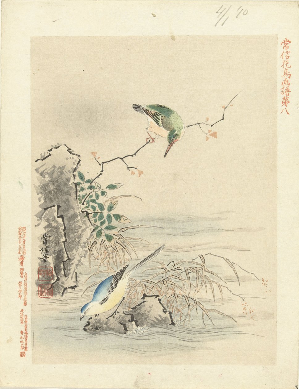 Martin-pêcheur regardant un oiseau près de l