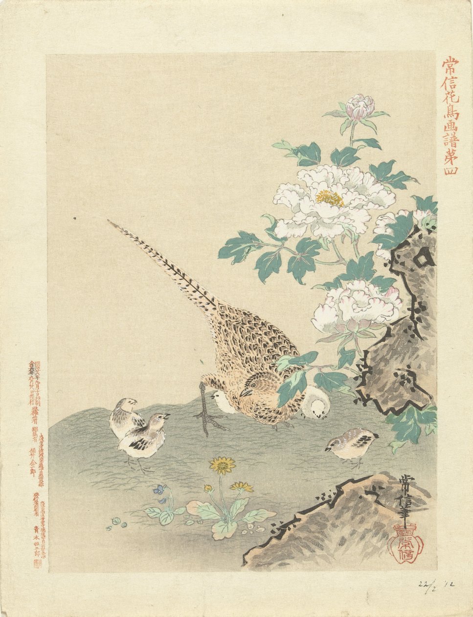 Caille avec poussins - Kano Tsunenobu