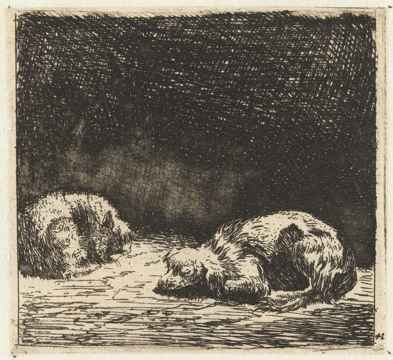 Chien et chat endormis - Karel Du Jardin