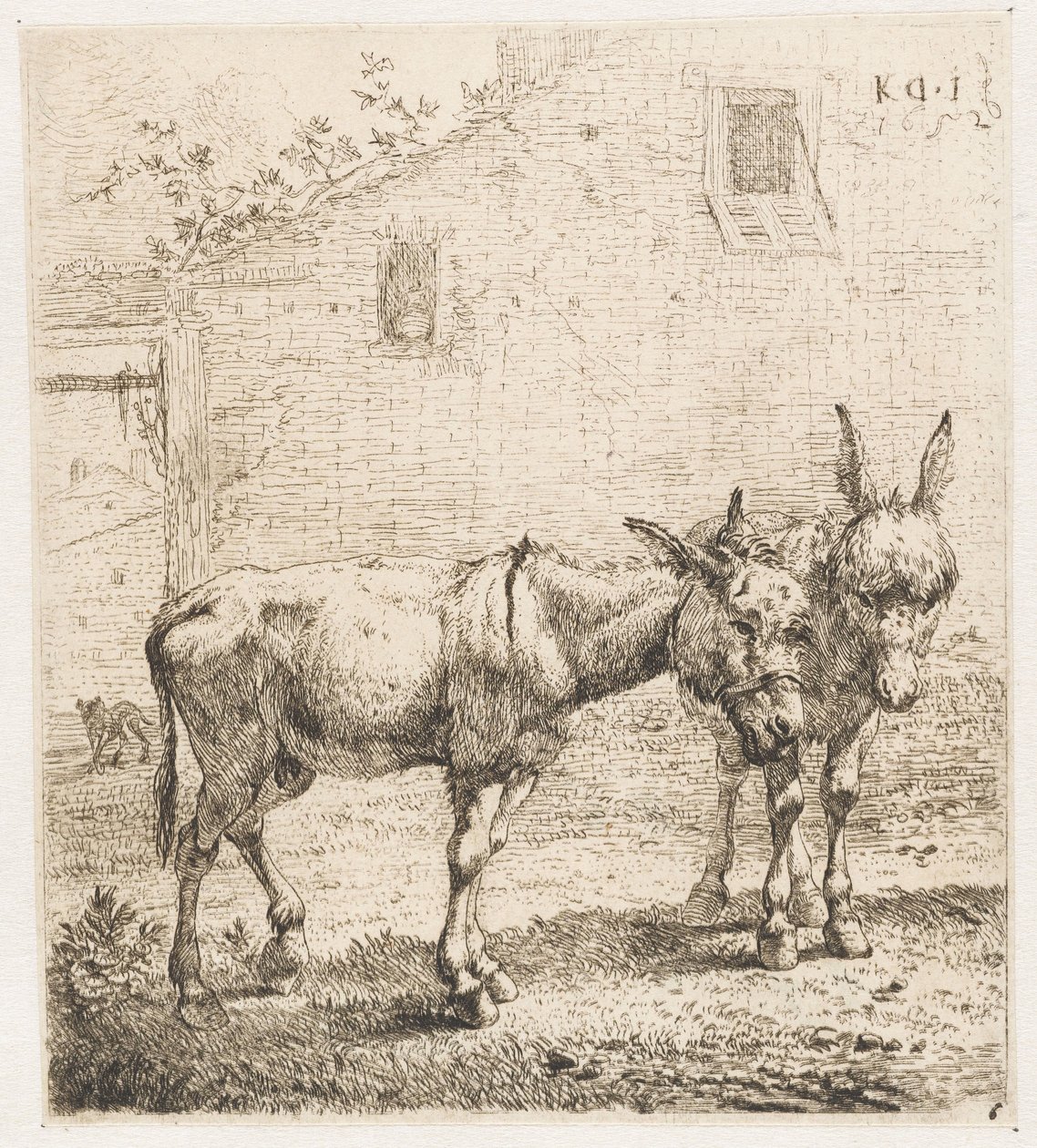Deux ânes - Karel Du Jardin