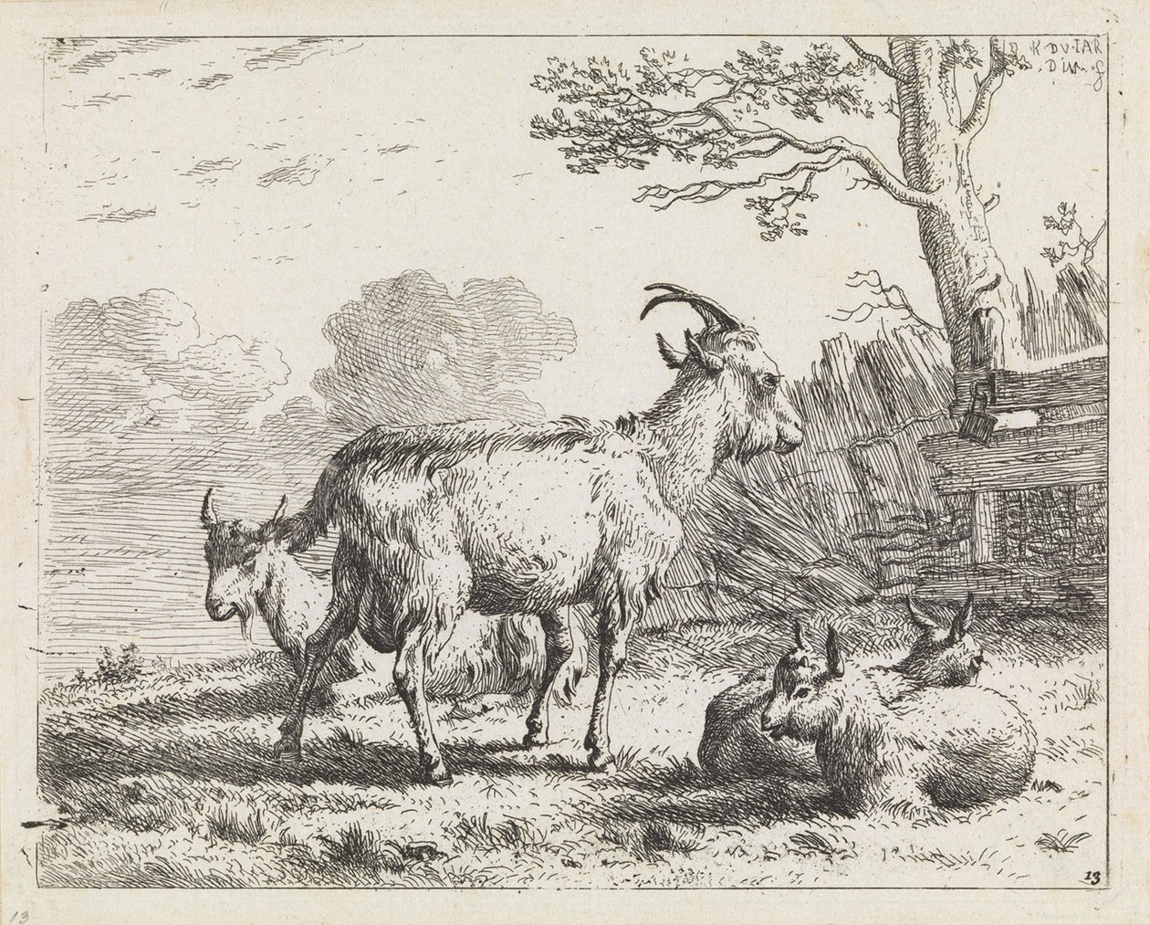 Quatre chèvres - Karel Dujardin