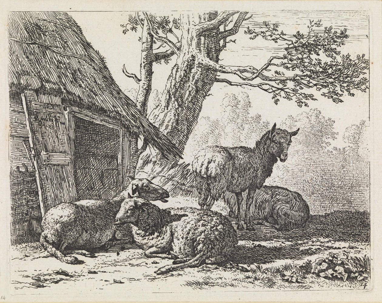 Quatre moutons - Karel Dujardin