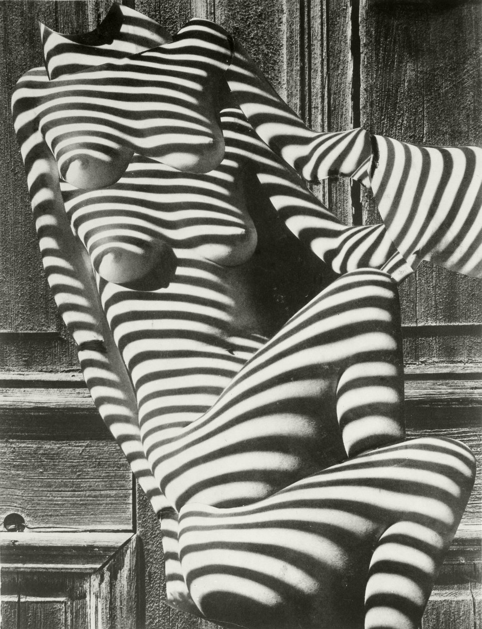 Femmes zébrées - Karel Teige