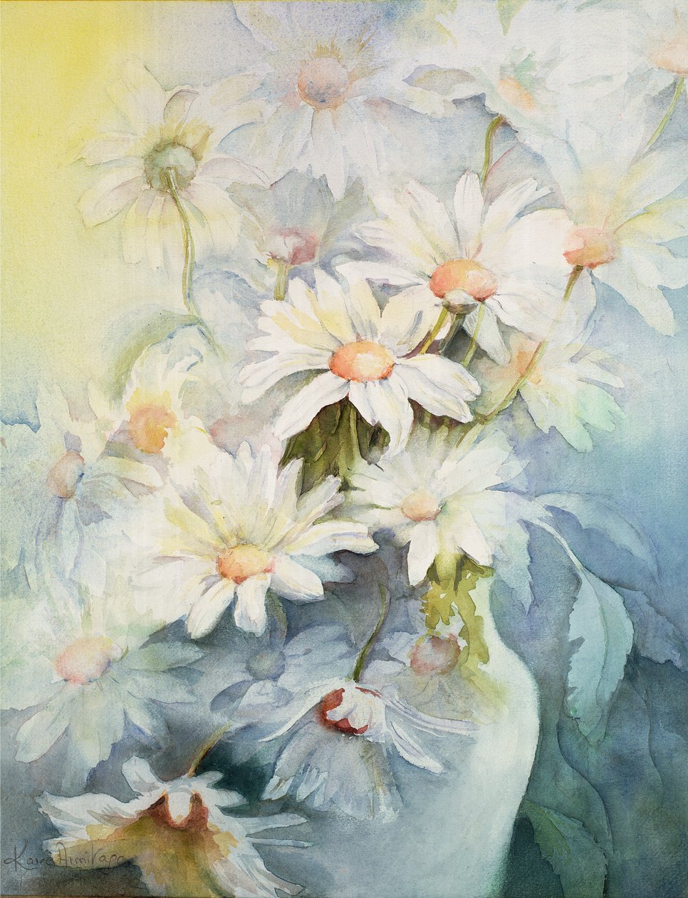 Chrysanthème, Snowcap - Karen Armitage