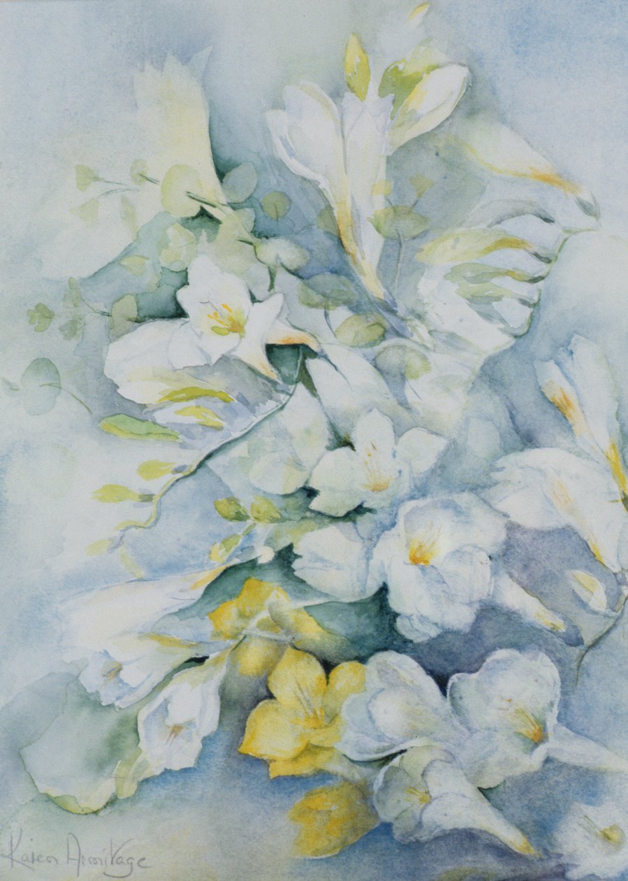 Freesia Eldus, géant blanc - Karen Armitage