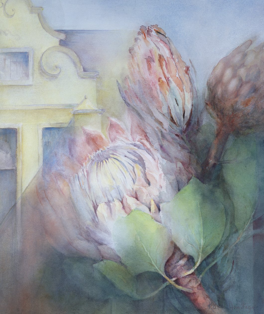 Protea à Stellenbosch - Karen Armitage