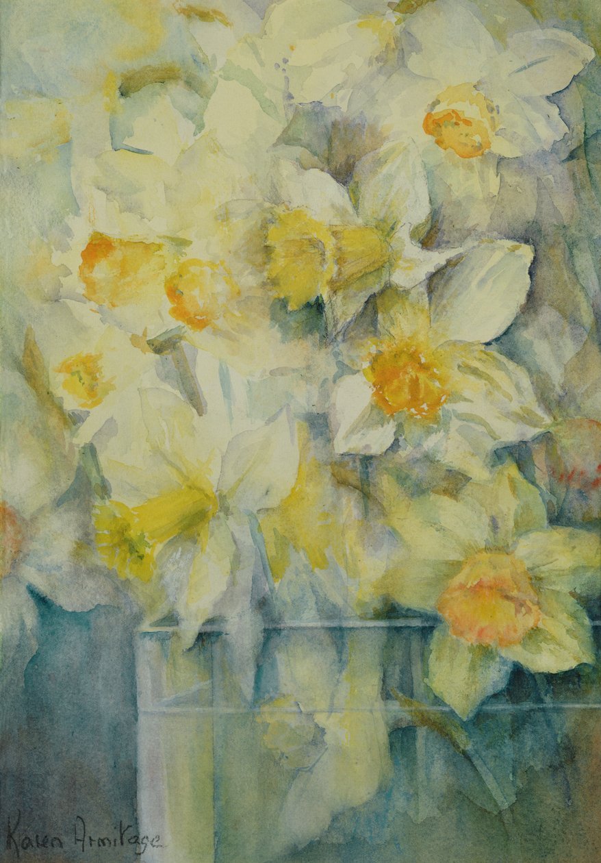 Printemps, jonquilles mélangées dans le réservoir n°3, Mme Krelage, Ice Follies et Fortune - Karen Armitage