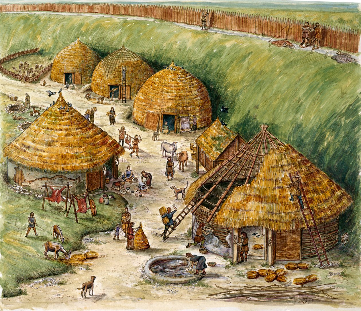 Fort de la colline de Danebury, Hampshire, IIe siècle av. J.-C. - Karen Guffogg