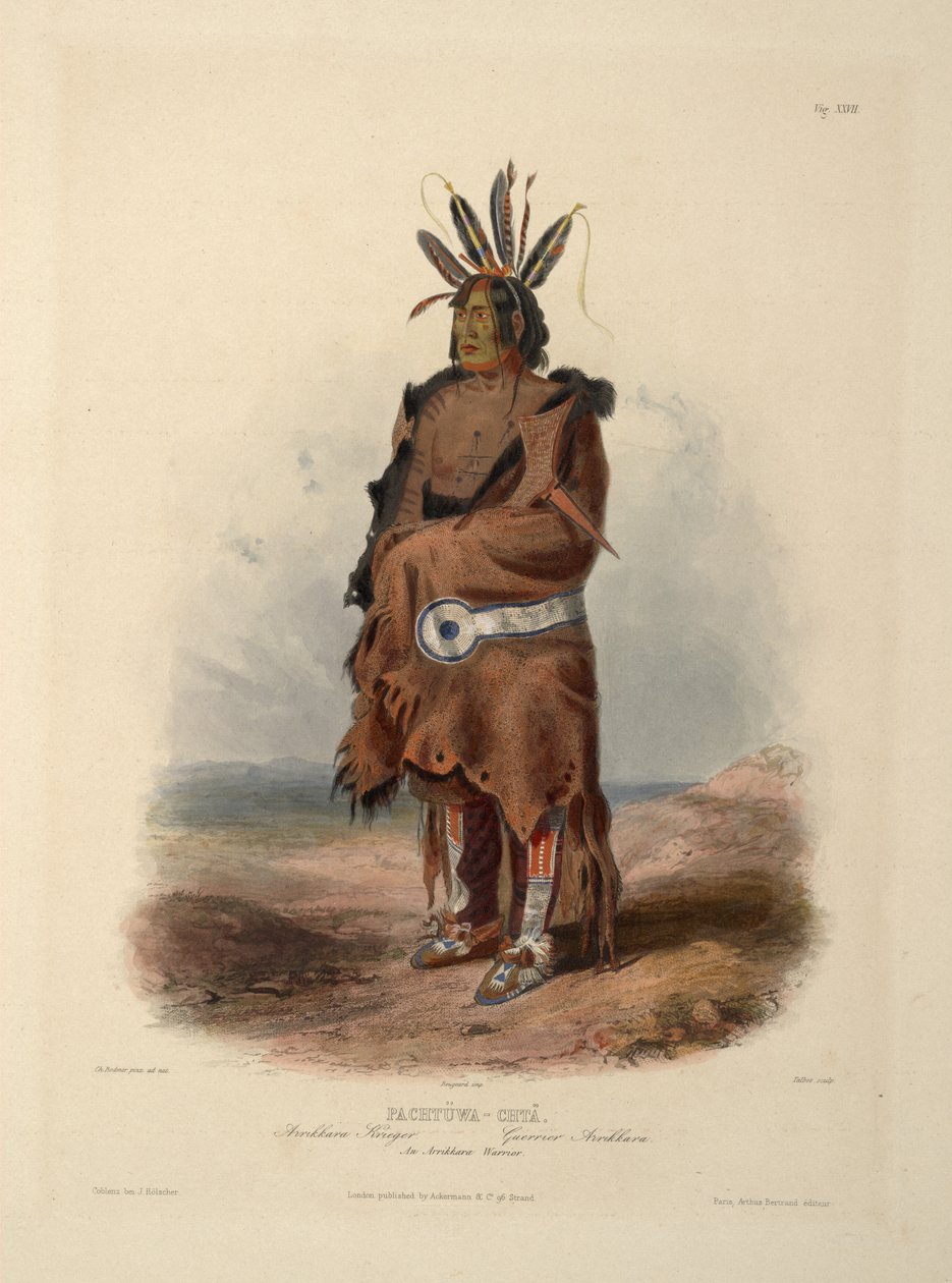 Un guerrier Arrikara - Karl Bodmer