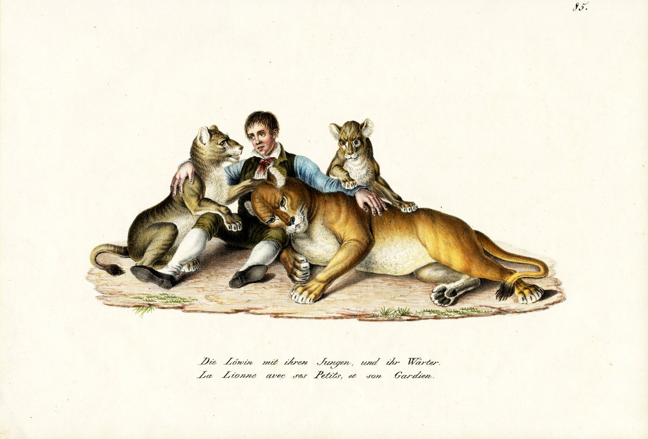Lionne avec ses petits, 1824 - Karl Joseph Brodtmann