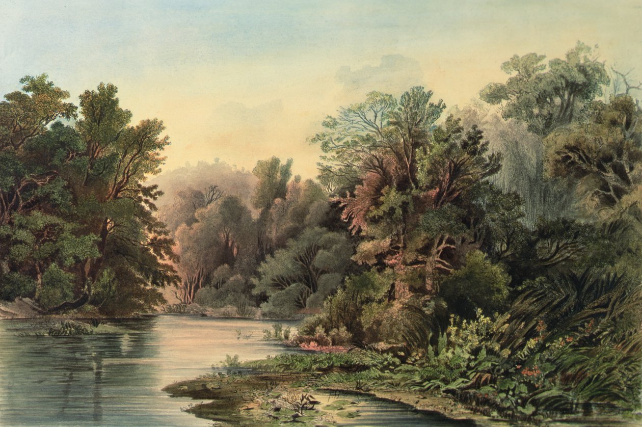 Scène forestière sur la Lehigh, Pennsylvanie, planche 1 du volume 2 de 