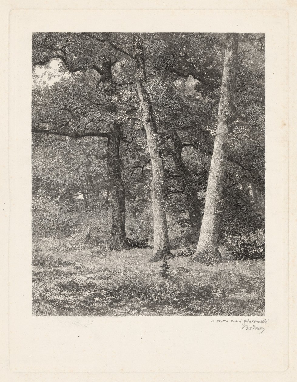 Une clairière en forêt - Karl Bodmer