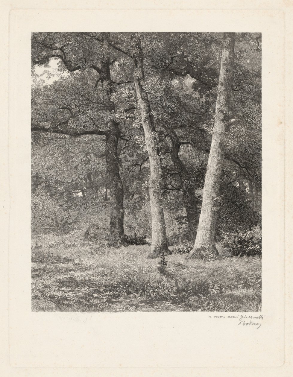 Une clairière forestière - Karl Bodmer