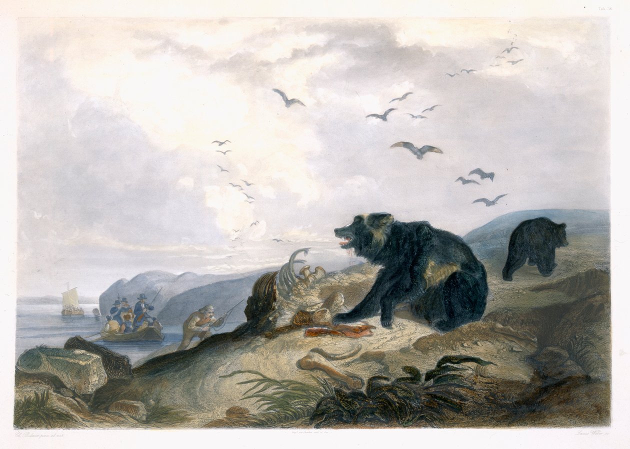 Chasse de l