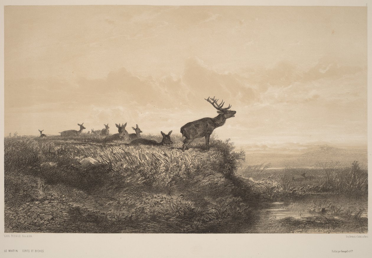 Le Matin - Karl Bodmer