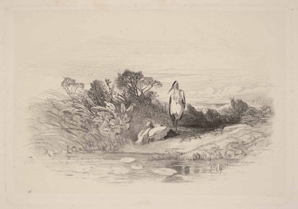 Les Deux Herons - Karl Bodmer