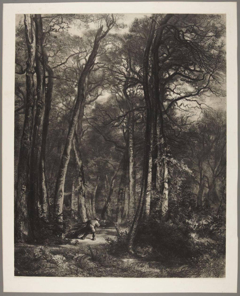 Un homme dans les bois - Karl Bodmer