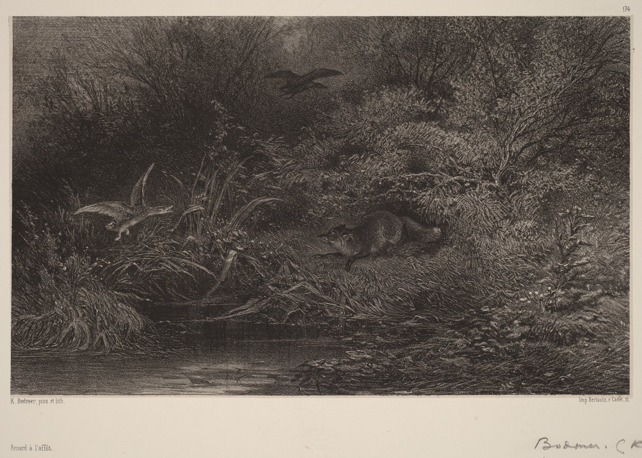 Renard à l