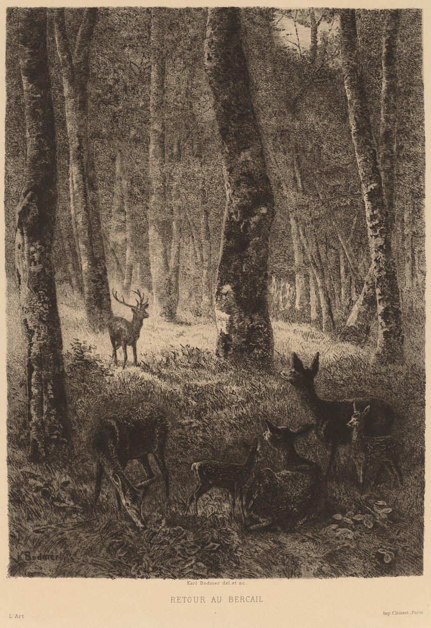 Retour au bercail - Karl Bodmer