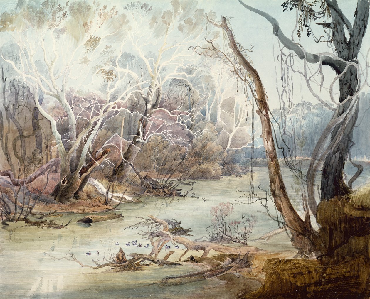 La Rivière Fox près de New Harmony, Indiana - Karl Bodmer