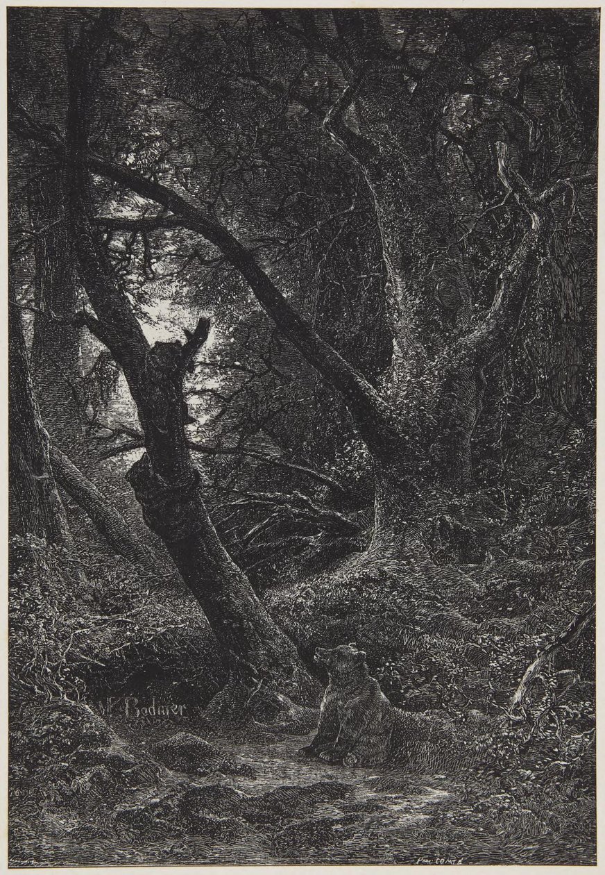 Deux ours dans la forêt - Karl Bodmer