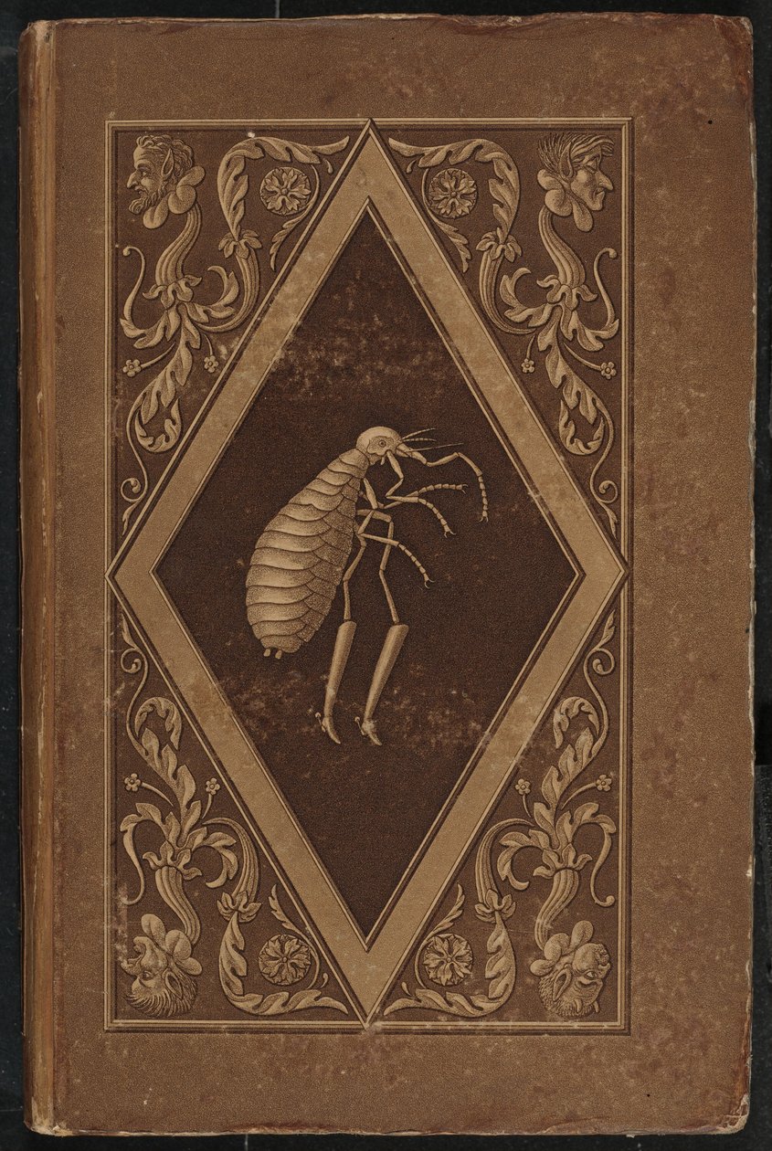 Meister Floh. Ein Märchen in sieben Abenteuern zweier Freunde - Karl Friedrich Thiele, Ernst Theodor Amadeus Hoffmann